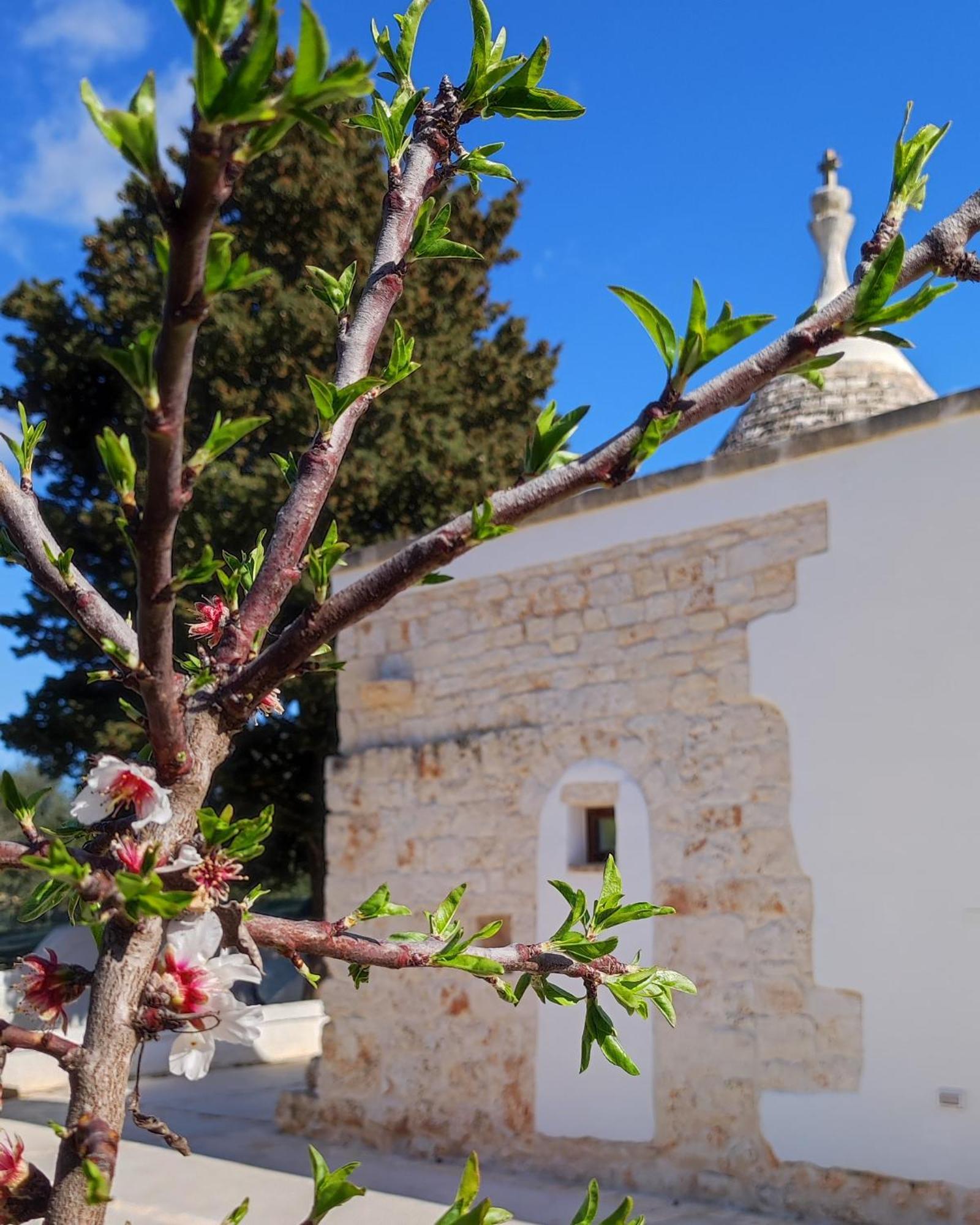 Trullo Zurlo Villa Ostuni Ngoại thất bức ảnh