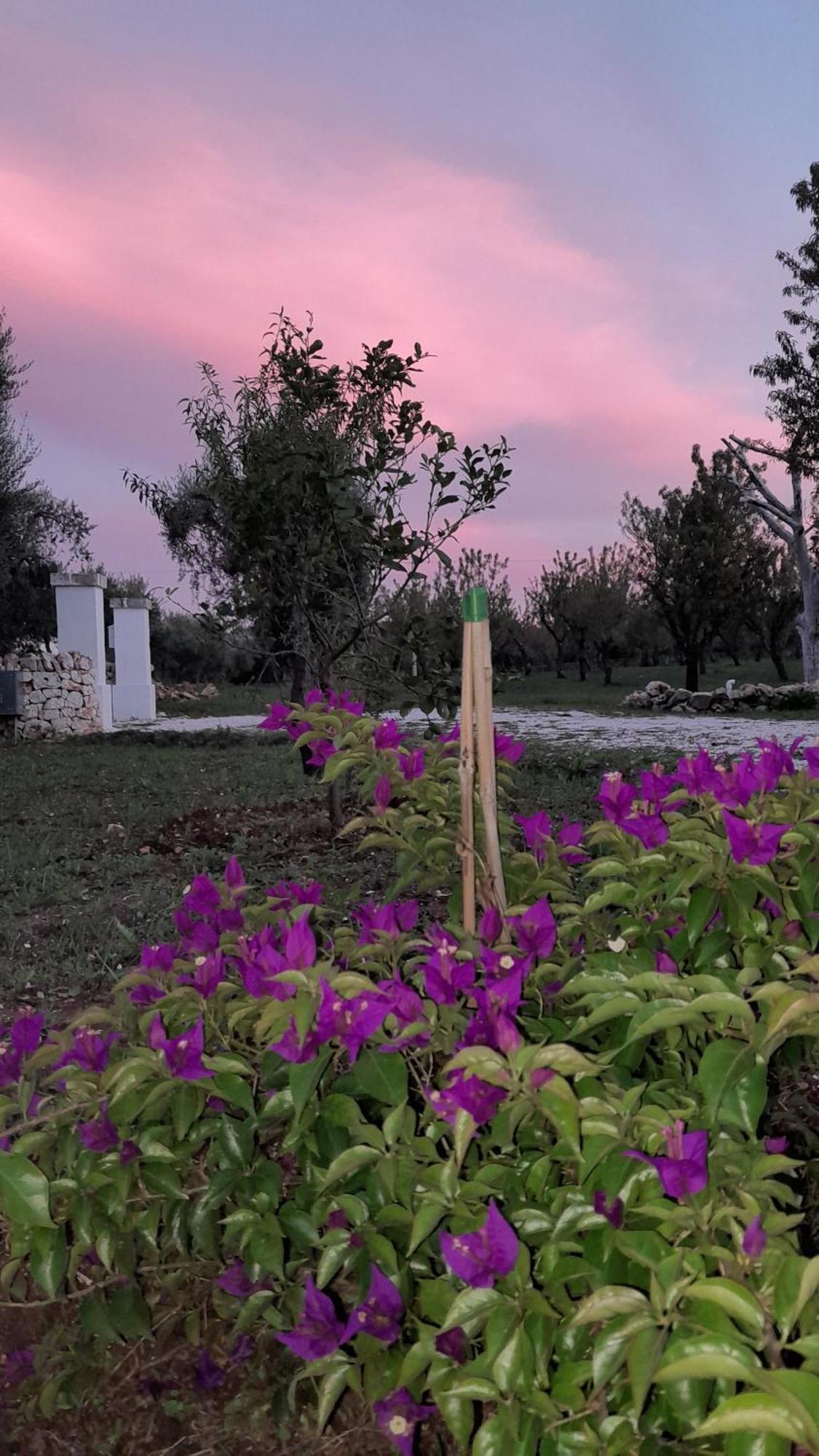 Trullo Zurlo Villa Ostuni Ngoại thất bức ảnh